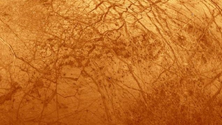 Illustration for article titled ¿Imagen microscópica o paisaje extraterrestre? Adivina cuál es cuál